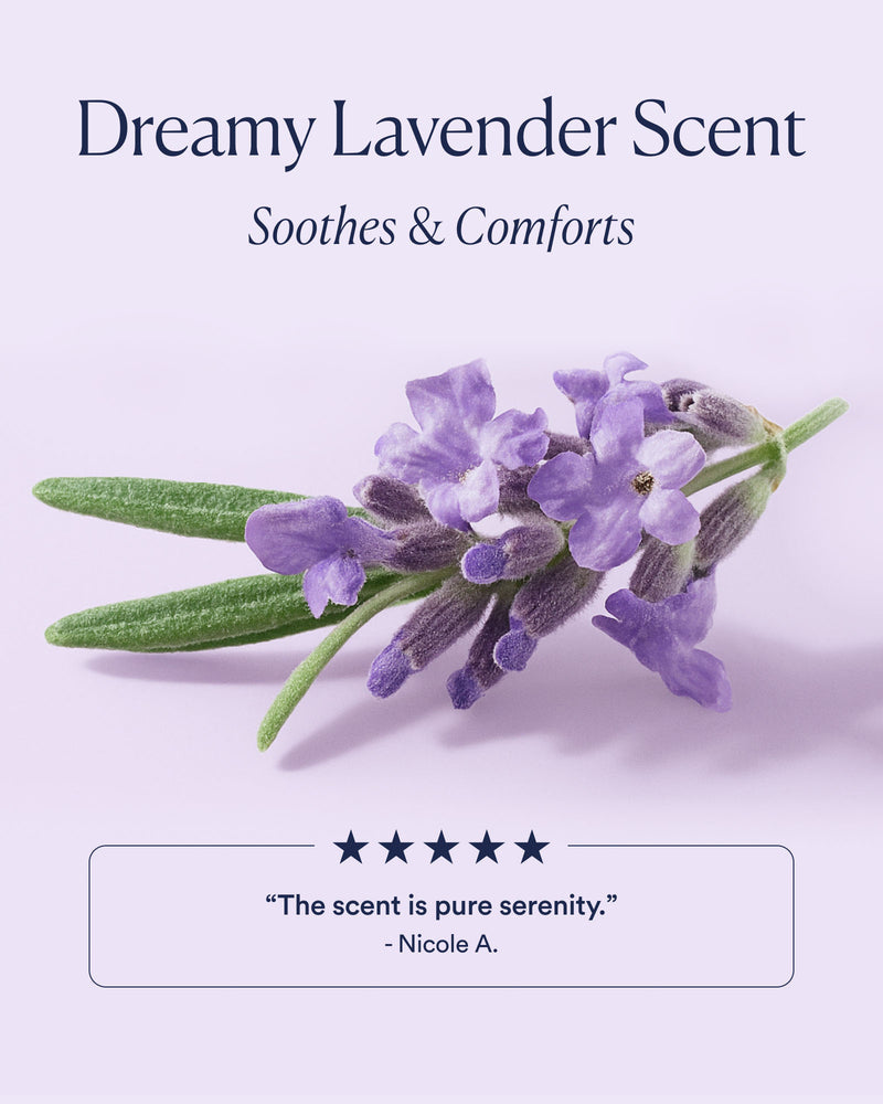 Dream Night Cream with Bio Retinol Anti Aging Hydrating Repair Cream