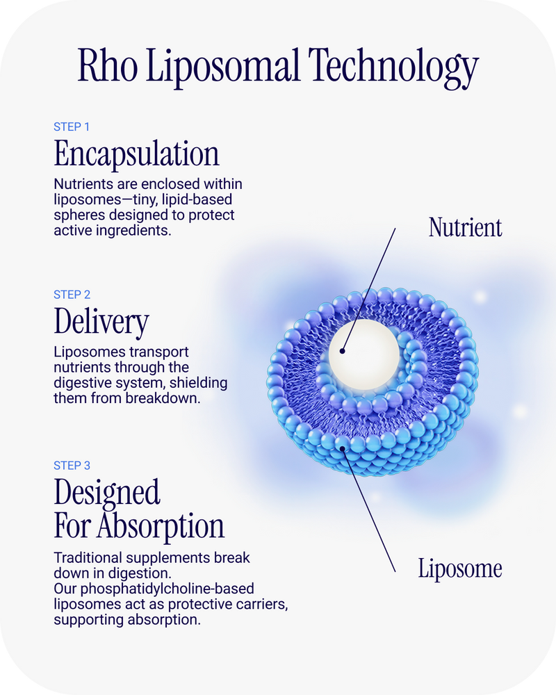 Liposomal NAD+ 3 Pack Cellular Energy Support Anti Aging Supplement
