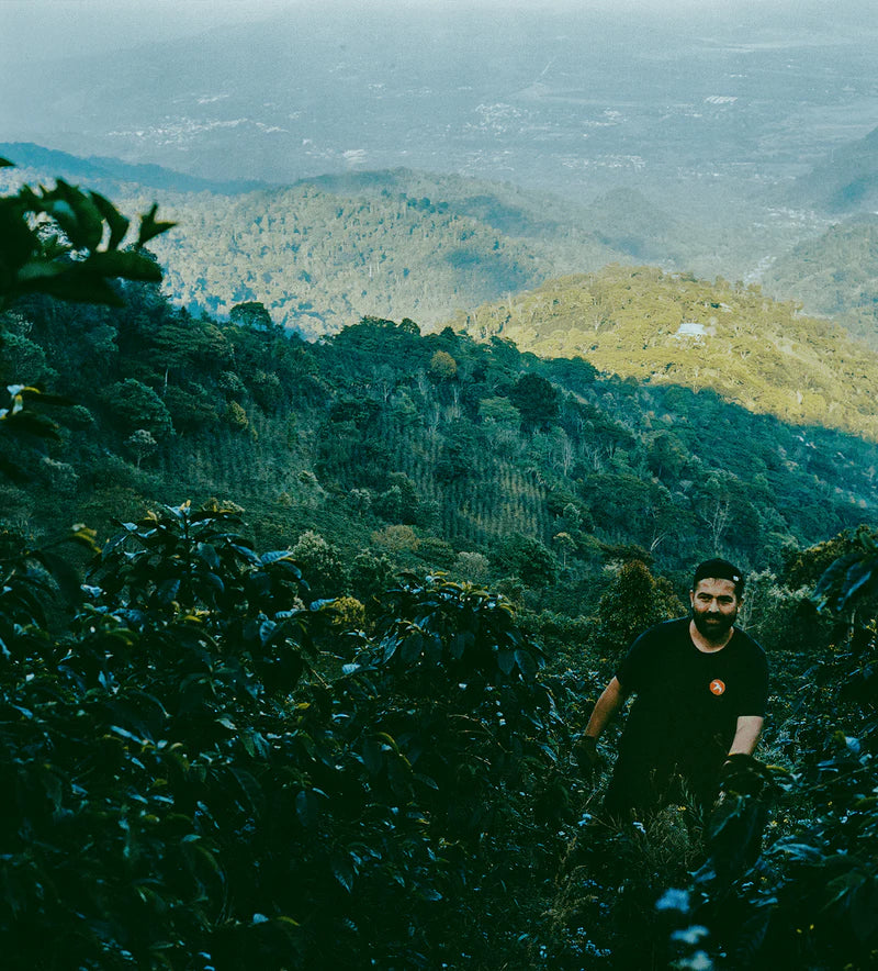 Honduras Benjamin Paz La Salsa Gesha Farm Level Reserve Specialty Coffee