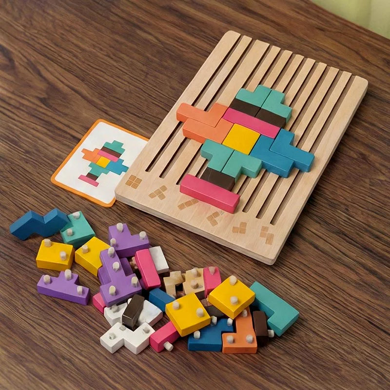 Montessori Brain Blocks Wooden Educational Puzzle Learning Toy for Kids