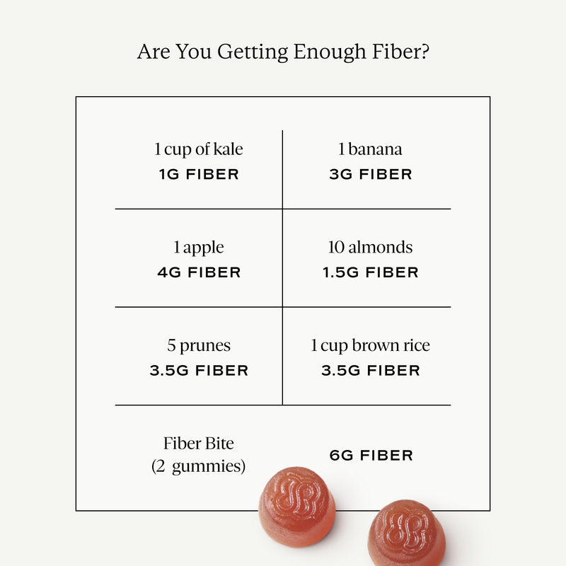 Fiber Bite Daily Fiber Supplement Gut Health Digestive Support Snack