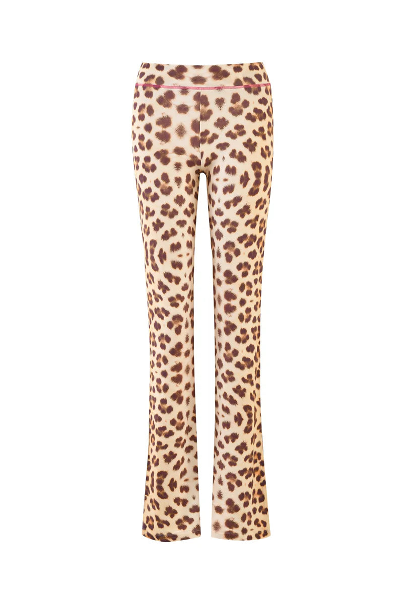 Blare Trackpant Neutral Leopard Wild Card – Stylish Track Pants