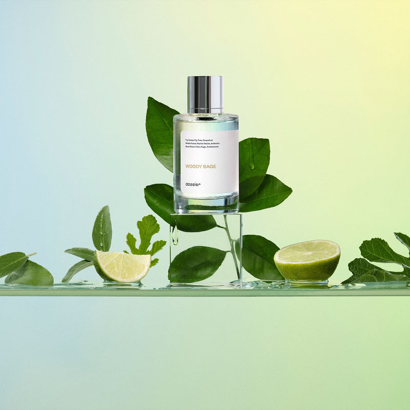 Woody Sage Fragrance | Fresh Herbal Scent with Warm Earthy Notes