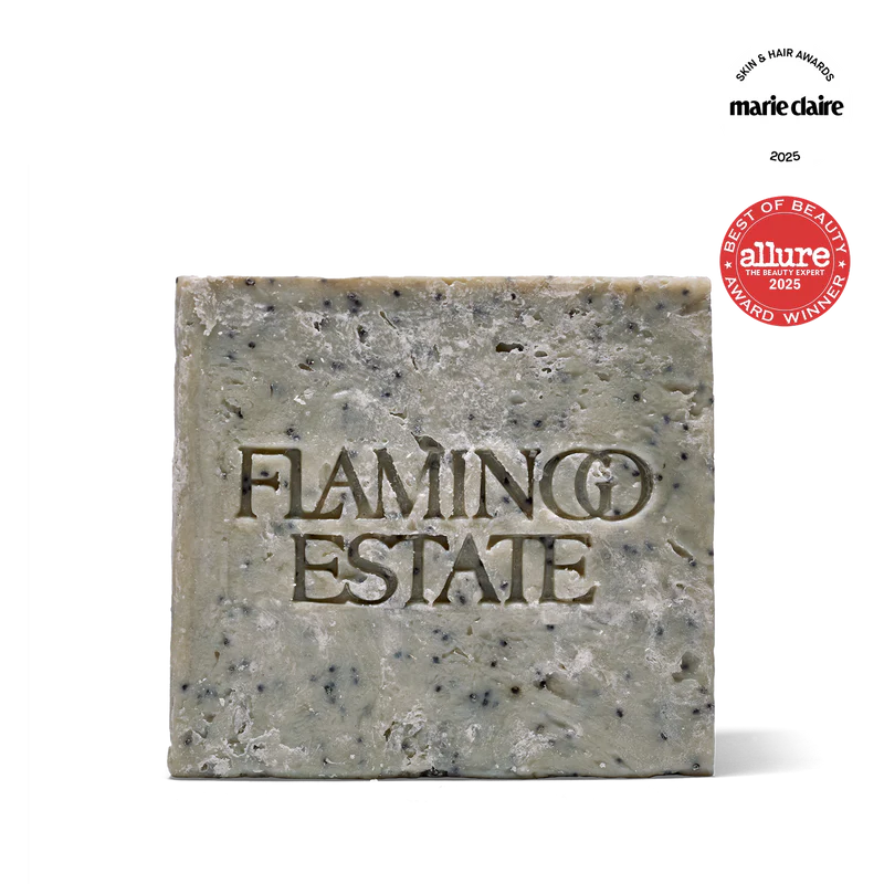 Morning Exfoliating Peppermint Soap Brick Refreshing Natural Bar Soap