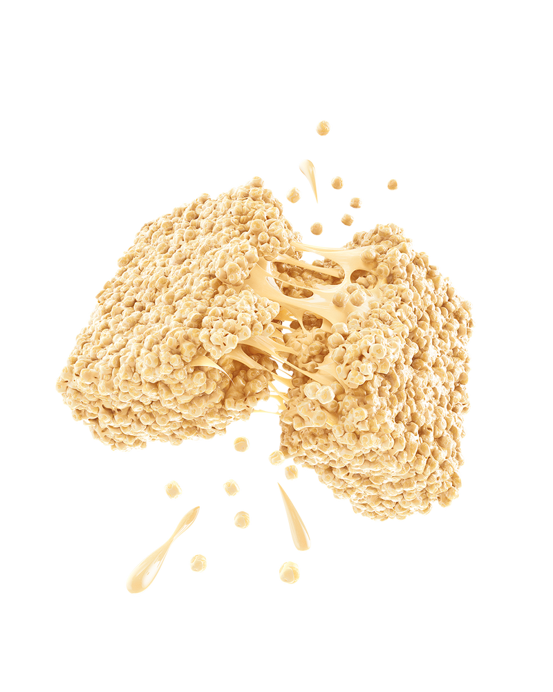 Vanilla Protein Puff Bars High Protein Snack Light Crispy Fitness Bar