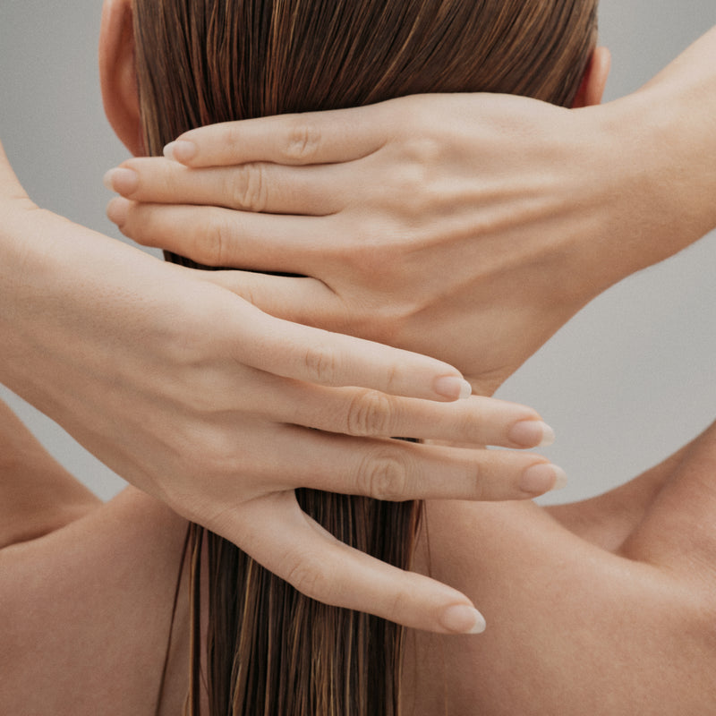 The Leave-In Conditioner Hydrating Detangling Smooth Soft Hair Care