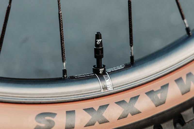 The Trail One Tubeless Valve Stems – Lightweight Bike Valve Set