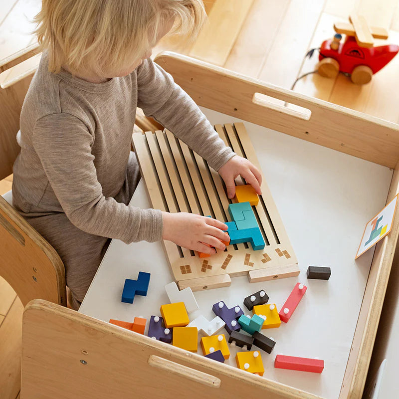 Montessori Brain Blocks Wooden Educational Puzzle Learning Toy for Kids