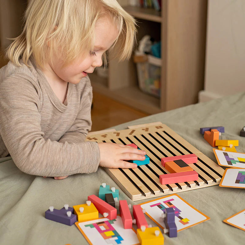 Montessori Brain Blocks Wooden Educational Puzzle Learning Toy for Kids