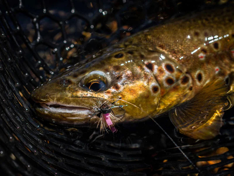 Yakoda Chimera (3-Pack) – Premium Fly Fishing Lures Set